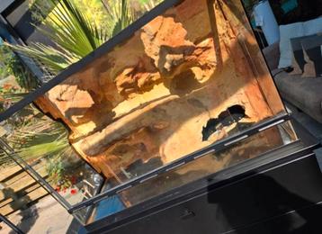 Terrarium  beschikbaar voor biedingen