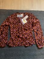 JOSH V blouse nieuw met kaartje, Kleding | Dames, Josh V, Ophalen of Verzenden, Nieuw, Maat 38/40 (M)