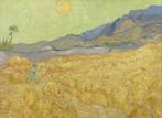 Behang wallpaper Van Gogh, Huis en Inrichting, Stoffering | Behang, Ophalen of Verzenden, Landschap Van Gogh