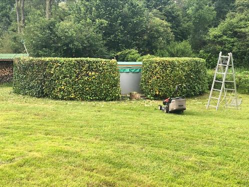 Tuinman aangeboden, Diensten en Vakmensen, Tuinmannen en Stratenmakers, Tuinonderhoud of Snoeiwerk
