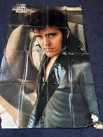 The cats en Alvin Stardust Popfoto Poster, Ophalen, A1 t/m A3, Muziek, Rechthoekig Staand
