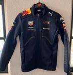 Red Bull Formule 1 max verstappen Jas Maat 152 - ZGAN, Ophalen of Verzenden, Zo goed als nieuw