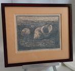 Willem Cordel (1884-1967) - Schelpen - Houtsnede - 1920, Antiek en Kunst, Ophalen of Verzenden
