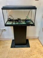 Klein en groot aquarium, Dieren en Toebehoren, Vissen | Aquaria en Toebehoren, Ophalen, Gebruikt, Leeg aquarium