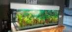 Aquarium Ferplast 120cm compleet te koop, Dieren en Toebehoren, Vissen | Aquaria en Toebehoren, Ophalen, Gebruikt, Gevuld zoetwateraquarium