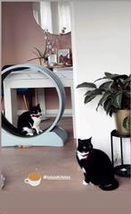 Cat Treadmill New, Dieren en Toebehoren, Ophalen, Nieuw, Intelligentiespeelgoed