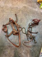 Lederen tuigjes ezels / paarden?, Dieren en Toebehoren, Januari, Meerdere dieren