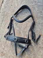 Verschillende paarden spullen te koop!, Dieren en Toebehoren, Paarden en Pony's | Hoofdstellen en Tuigage, Ophalen of Verzenden