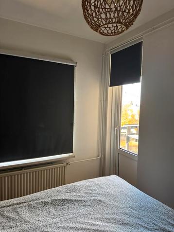 Verduisterend rolgordijn donkergrijs B72xL265 beschikbaar voor biedingen