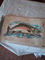 Vintage Vis Stickers - Decorcal Inc. Raam/Auto, Ophalen of Verzenden