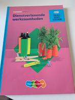 Dienstverlenende werkzaamheden niveau 2 Theorieboek, Ophalen of Verzenden, Zo goed als nieuw, MBO