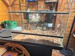 Terrarium/ aquarium, Dieren en Toebehoren, Reptielen en Amfibieën | Toebehoren, Ophalen of Verzenden, Zo goed als nieuw