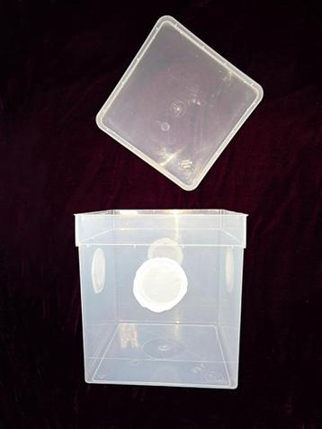 ontsnappingsbestendig isopodarium 5.8 L (gebruikt) beschikbaar voor biedingen
