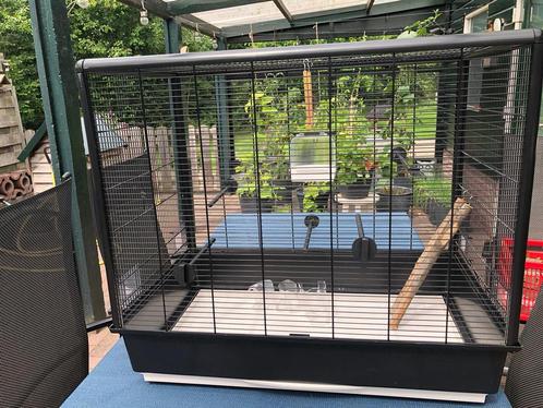 Grote vogelkooi met toebehoren, Dieren en Toebehoren, Vogels | Hokken en Kooien, Zo goed als nieuw, Vogelkooi, Metaal, Ophalen