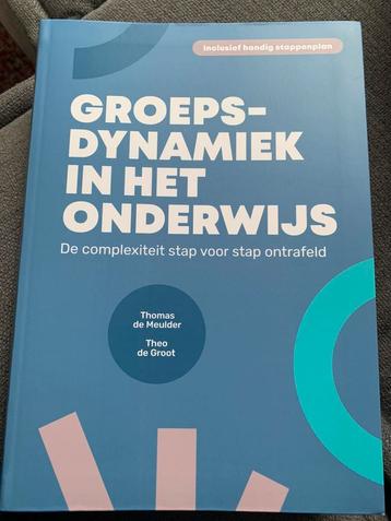 Thomas de Meulder - Groepsdynamiek in het onderwijs beschikbaar voor biedingen