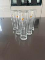 Swinckels bierglazen 0, 5 ltr 6 stuks, Overige merken, Glas of Glazen, Ophalen