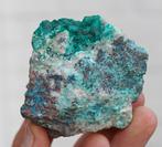 DIOPTAAS CALCIET CHRYSOCOLLA SHATTUCKIET CONGO, Ophalen of Verzenden, Mineraal