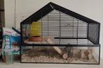 Beeztees Nolan knaagdieren kooi, Dieren en Toebehoren, Kooi, Gebruikt, Minder dan 75 cm, Hamster
