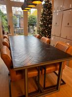 Eetkamertafel en stoelen te koop, Huis en Inrichting, Ophalen, Metaal, 200 cm of meer, 50 tot 100 cm