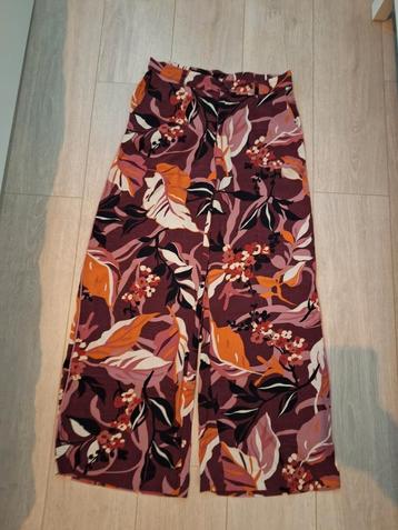 Zomer broek tramontana beschikbaar voor biedingen