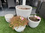 10 witte bloempotten buitenpotten, Tuin en Terras, Ophalen, Kunststof, Minder dan 30 cm, Rond