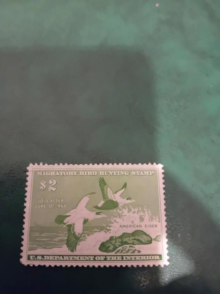 USA Postzegel - Migratory Bird Hunting Stamp, Postzegels en Munten, Postzegels | Amerika, Ophalen of Verzenden