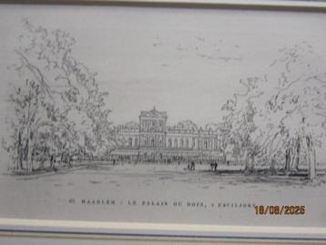 Haarlem, Mooie nieuwe Gravure in plastic /Passepartout beschikbaar voor biedingen
