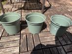 Bloembak 80cm + 3 gratis potten, Ophalen, Kunststof, Gebruikt, Minder dan 30 cm