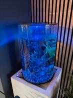 Aquarium Biorb Tube 30 met led verlichting allerlei kleuren, Dieren en Toebehoren, Vissen | Aquaria en Toebehoren, Ophalen, Zo goed als nieuw
