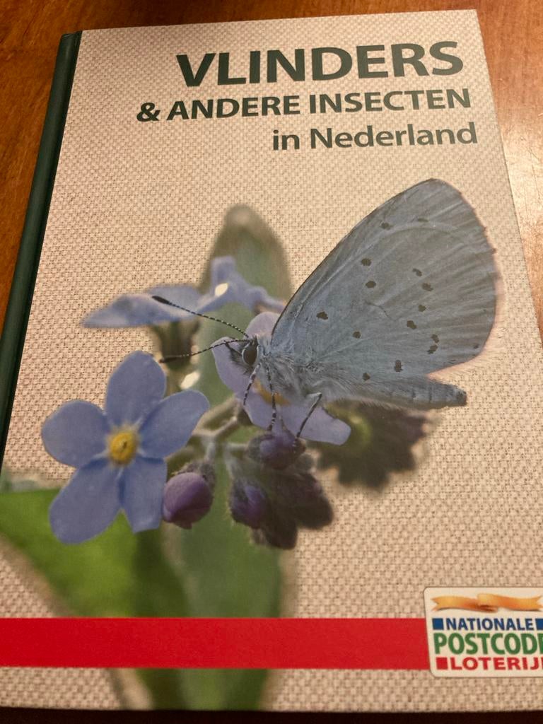 Vlinders & Andere Insecten in Nederland - Natuurgids, Boeken, Ophalen of Verzenden, Zo goed als nieuw, Natuur algemeen