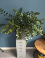 Boom eruit, plant erin, Ophalen, Overige soorten, In pot, Minder dan 100 cm