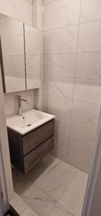 Wasbak met cabinet voor badkamer, Huis en Inrichting, Badkamer | Badkamermeubels, Ophalen, 50 tot 100 cm, Zo goed als nieuw, Minder dan 100 cm