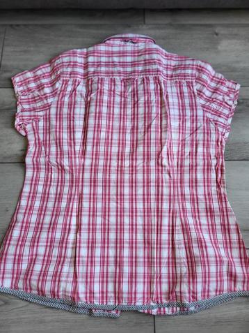 Gaastra dames blouse met korte mouw maat XL beschikbaar voor biedingen