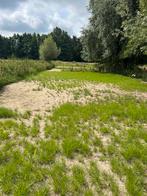 Gezocht voor mega huisje paard/pony, Dieren en Toebehoren, Stalling en Weidegang, 1 paard of pony