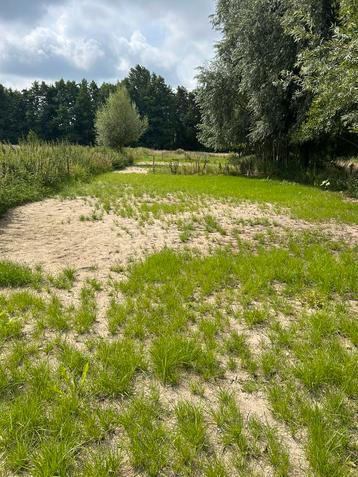 Gezocht voor mega huisje paard/pony beschikbaar voor biedingen