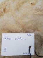 Schapevacht, Hobby en Vrije tijd, Spinnewielen en Spinnen, Ophalen of Verzenden, Nieuw