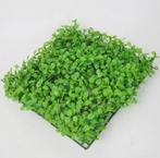 Groene Sier Gras Blad Plant Aquarium / Sier Nep Waterplant, Verzenden, Nieuw