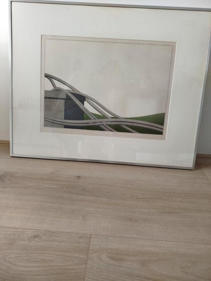 Marinus Fuit - Slangen in Landschap, 1981, Antiek en Kunst, Kunst | Etsen en Gravures, Ophalen