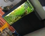 Mooi groot Juwel aquarium met onderkast, Dieren en Toebehoren, Ophalen, Gevuld zoetwateraquarium