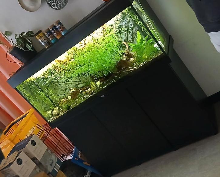 Mooi groot Juwel aquarium met onderkast, Dieren en Toebehoren, Vissen | Aquaria en Toebehoren, Gevuld zoetwateraquarium, Ophalen