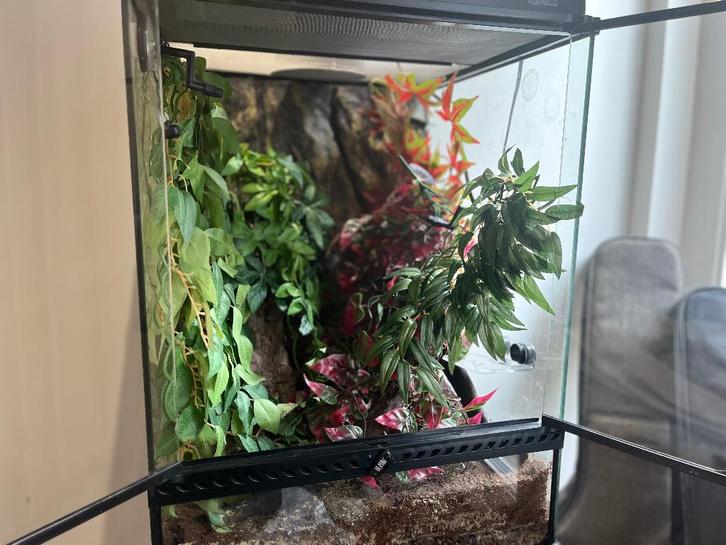 Exo Terra terrarium, Dieren en Toebehoren, Reptielen en Amfibieën | Toebehoren, Zo goed als nieuw, Terrarium of Paludarium, Ophalen