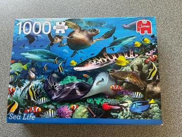 Puzzel “ sea life” 1000 st.1 euro in Weert beschikbaar voor biedingen