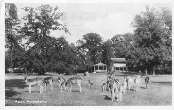 (300-308-037) Assen Hertenkamp beschikbaar voor biedingen