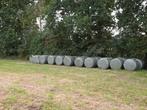 Midi balen 22 stuks, Dieren en Toebehoren, Ophalen of Verzenden, Vee