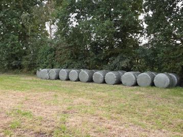 Midi balen 22 stuks beschikbaar voor biedingen