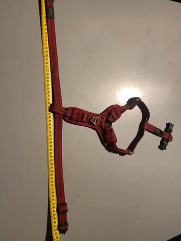 Honden Y tuig. beschikbaar voor biedingen