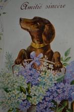 frankrijk relief 1910 hond teckel mand seringen, Ophalen, Voor 1920, Gelopen, Sterren en Beroemdheden