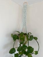 Macrame plantenhanger, Huis en Inrichting, Woonaccessoires | Wanddecoraties, Ophalen of Verzenden, Nieuw