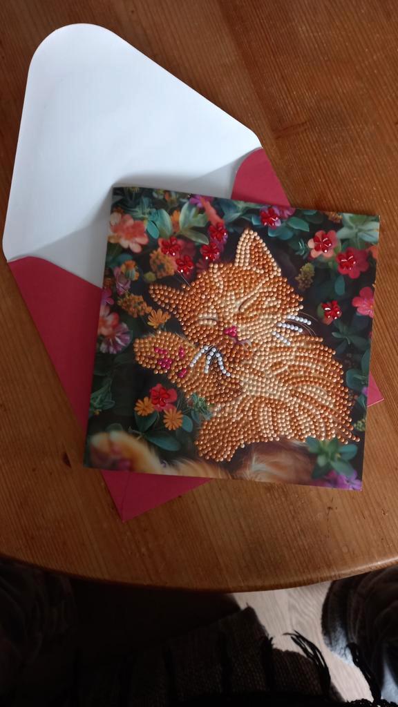 Kaart en envelop.  Kat., Hobby en Vrije tijd, Kaarten | Zelfgemaakt, Nieuw, Overige thema's, Ophalen of Verzenden