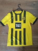 BVB Dortmund shirt nieuw 22/23, Maat L, Verzenden, Nieuw, Shirt